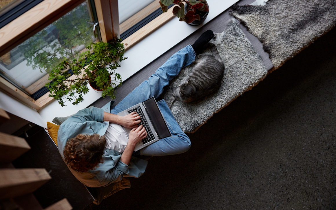 Man och kan i fönster med dator