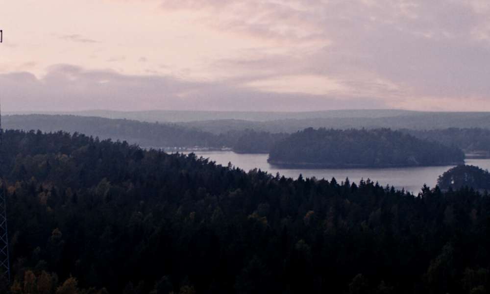 Mobilmast på en höjd i skogen.