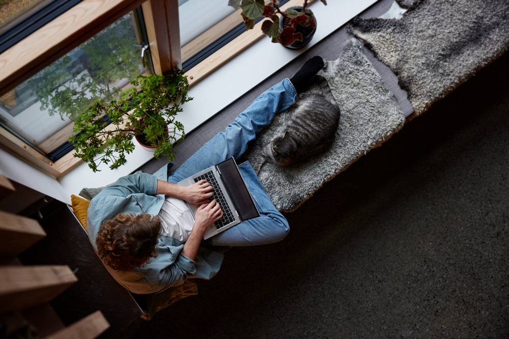 En man med en laptop i knät halvsitter vid ett fönster, bredvid honom ligger en katt.