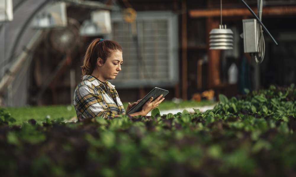 Kvinna som hanterar surfplatta i växthus