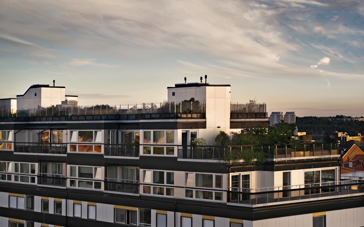 Kontor med vit fasad och takterrasser 