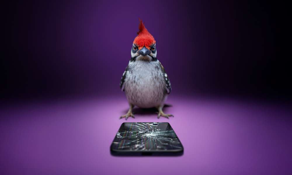 Telefon som blivit hackad av en hackspett