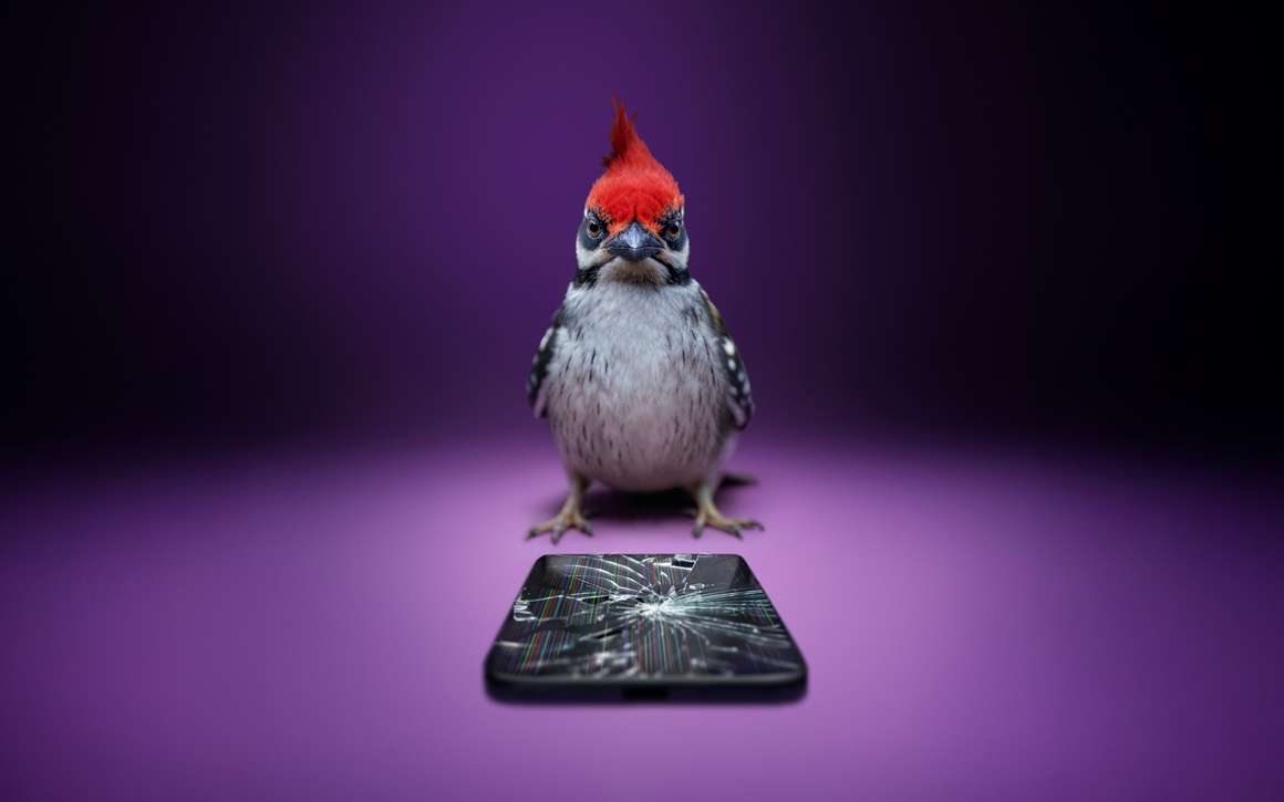 Telefon som blivit hackad av en hackspett