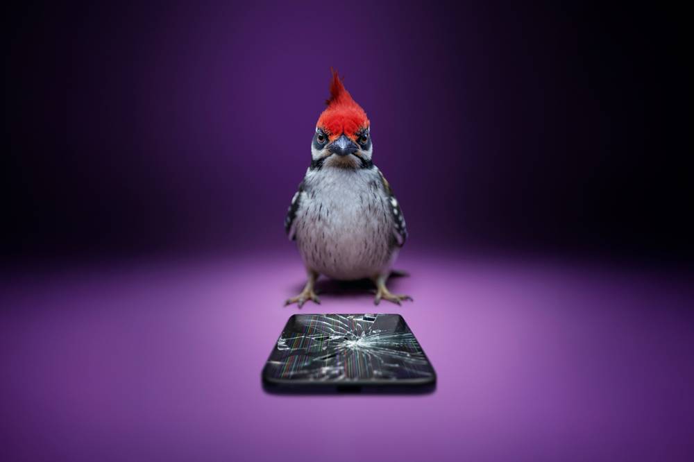 Telefon som blivit hackad av en hackspett